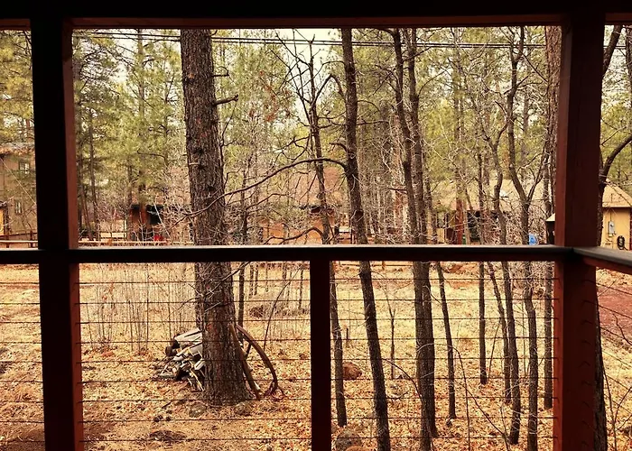 Peaceful Pines *